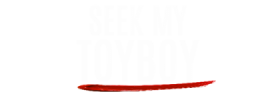 Seek My Toyboy